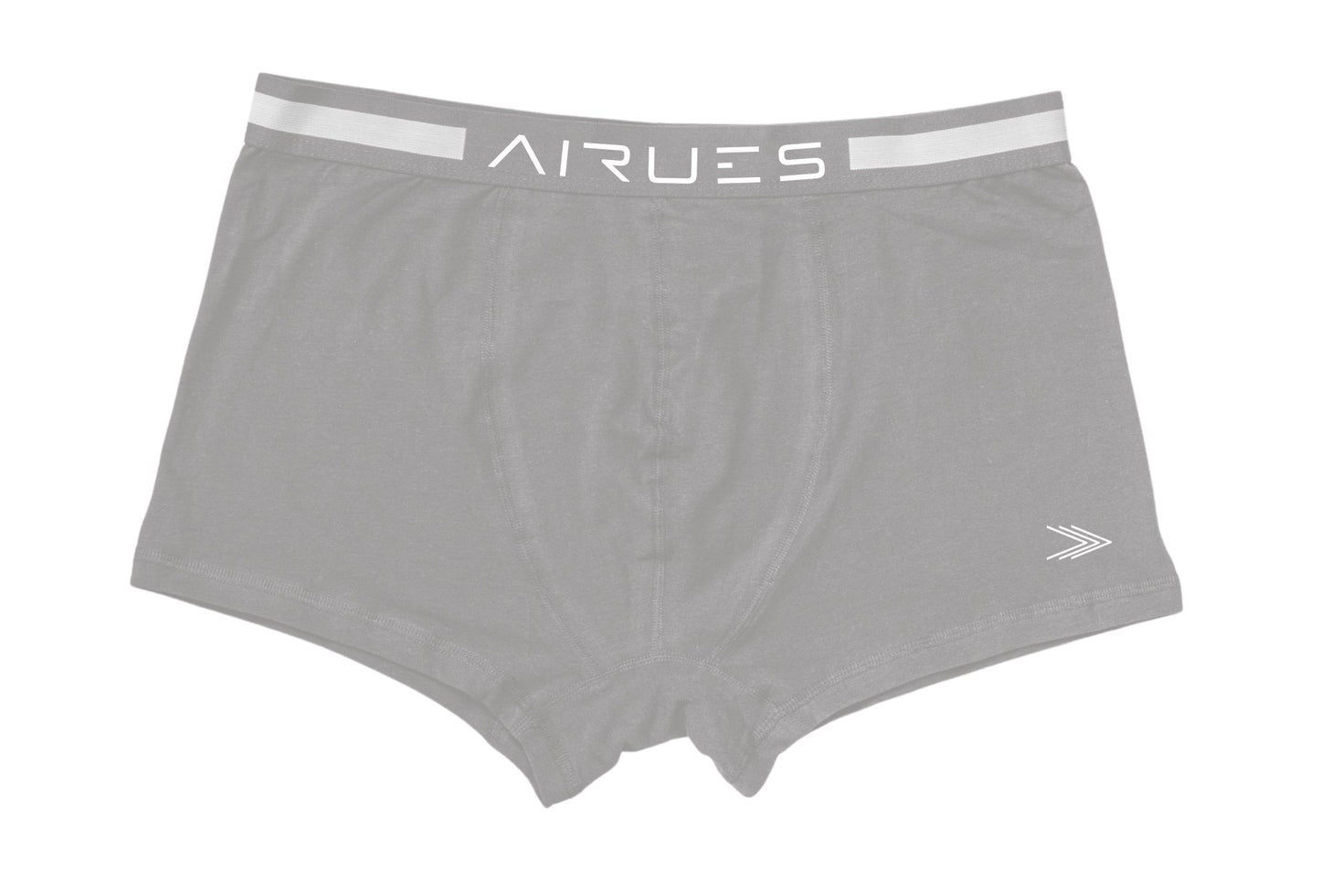 THE GRAY TRUNK