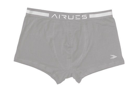 THE GRAY TRUNK