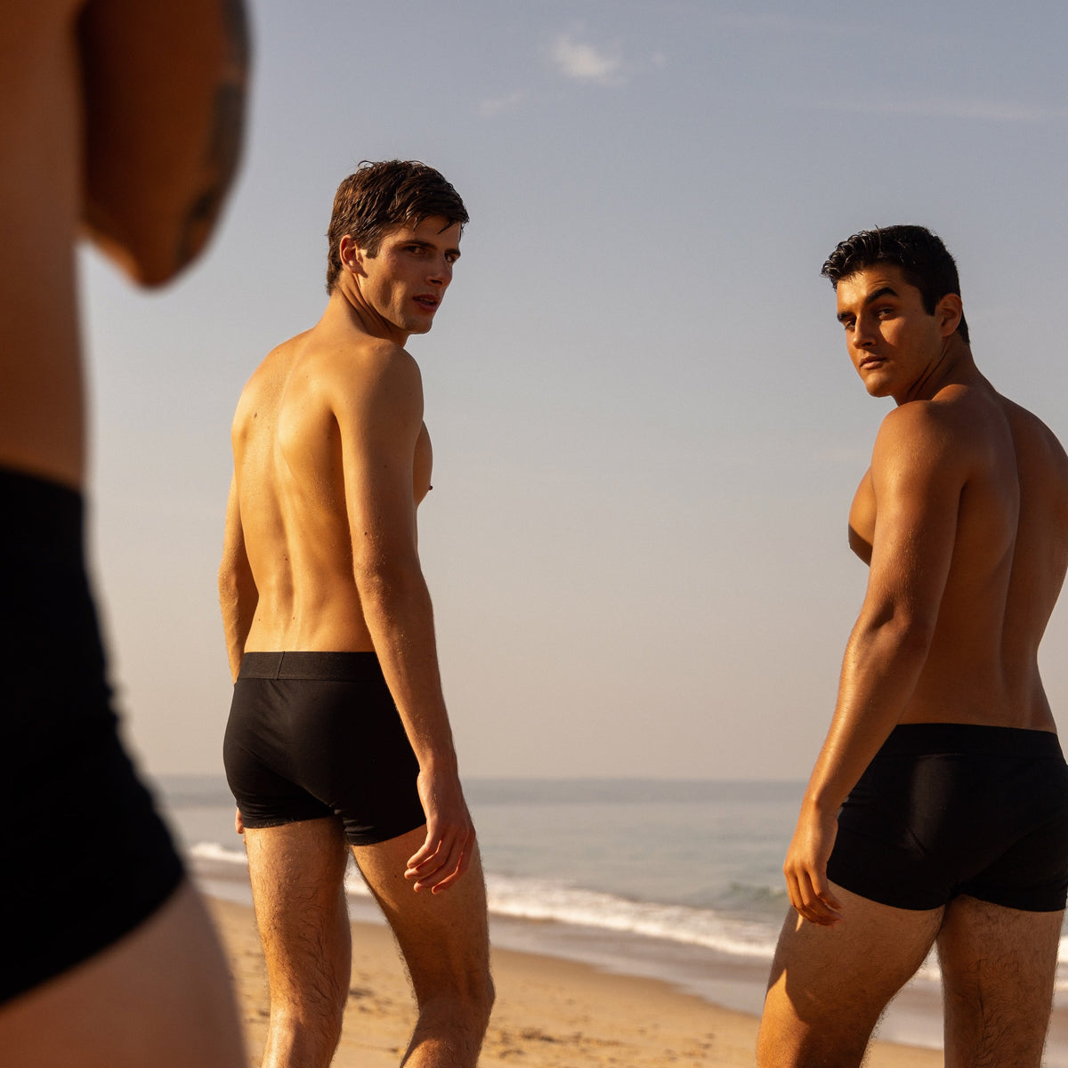Build Your 3-Pack